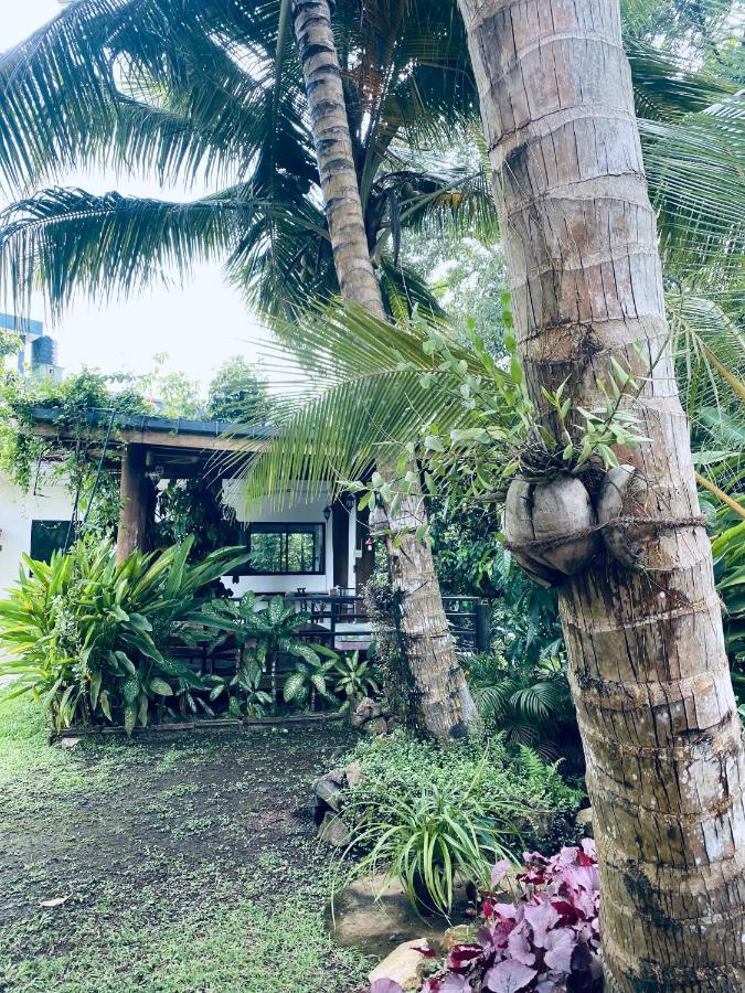 Nature Villa Unawatuna Galketiya Exterior foto
